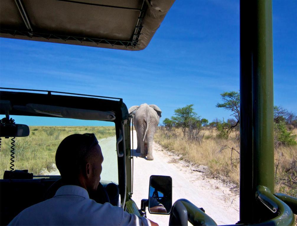 Vila Mokuti Etosha Namutoni Exteriér fotografie