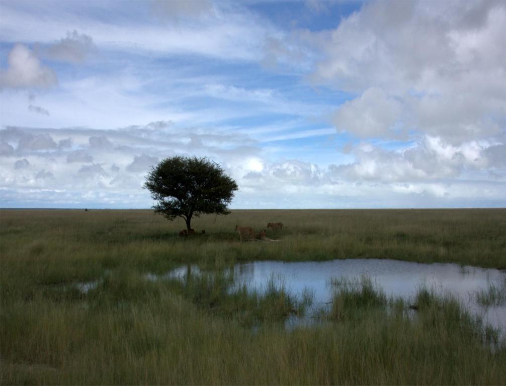 Vila Mokuti Etosha Namutoni Exteriér fotografie